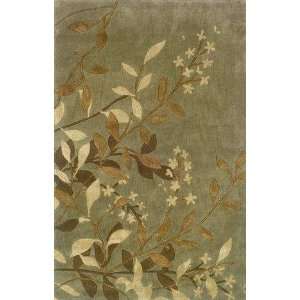   Weavers Visionary 84111 3 6 X 5 6 Area Rug