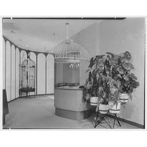   Taylor, business in Bala Cynwyd, Pennsylvania. Bird cage entrance 1955