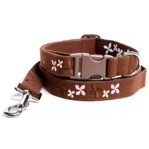  Prospect Webbing Collar and Leash